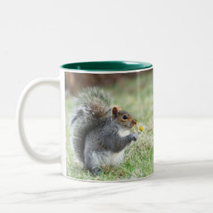 Eichhörnchen mit Gänseblümchen Zweifarbige Tasse