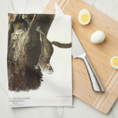 Eichhörnchen mit gemeinsamem oder südlichem Flying Geschirrtuch (Viertel Falte)