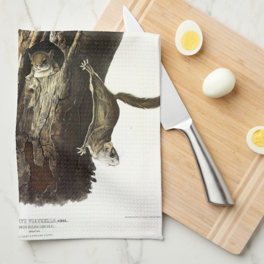 Eichhörnchen mit gemeinsamem oder südlichem Flying Geschirrtuch (Viertel Falte)