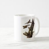 Eichhörnchen mit gemeinsamem oder südlichem Flying Kaffeetasse (VorderseiteRechts)