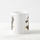 Eichhörnchen mit gemeinsamem oder südlichem Flying Kaffeetasse (Mittel)