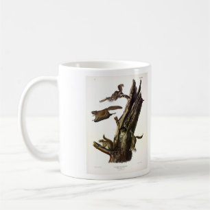 Eichhörnchen mit gemeinsamem oder südlichem Flying Kaffeetasse