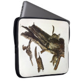 Eichhörnchen mit gemeinsamem oder südlichem Flying Laptopschutzhülle (Vorne Rechts)