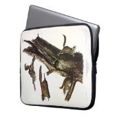 Eichhörnchen mit gemeinsamem oder südlichem Flying Laptopschutzhülle (Vorderseite Links)