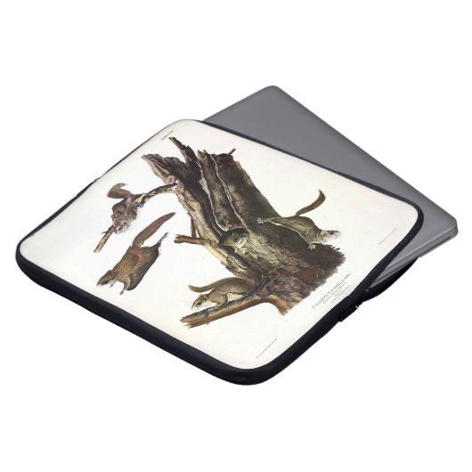 Eichhörnchen mit gemeinsamem oder südlichem Flying Laptopschutzhülle (Vorne Oben)