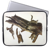 Eichhörnchen mit gemeinsamem oder südlichem Flying Laptopschutzhülle (Vorderseite)