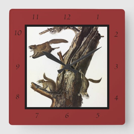 Eichhörnchen mit gemeinsamem oder südlichem Flying Quadratische Wanduhr (Vorderseite)