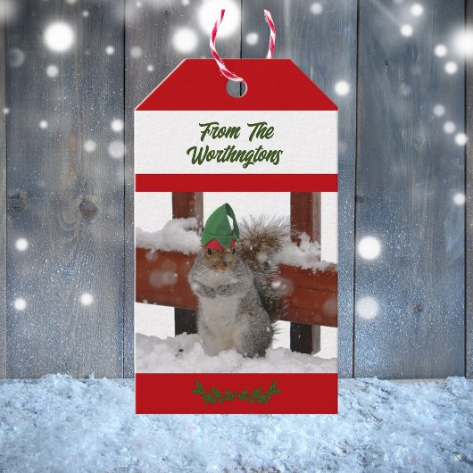 Eichhörnchen mit grüner Mütze Schnee Rot und Weiß  Geschenkanhänger