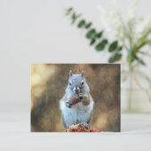 Eichhörnchen mit Kiefernkone Postkarte (Stehend Vorderseite)