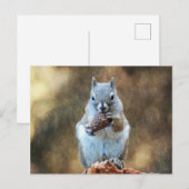Eichhörnchen mit Kiefernkone Postkarte (Vorne/Hinten)