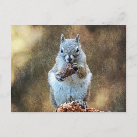 Eichhörnchen mit Kiefernkone Postkarte (Vorderseite)