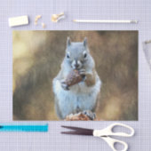 Eichhörnchen mit Kiefernkone Seidenpapier (Handwerk)