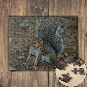 Eichhörnchen mit leuchtenden Augen Puzzle