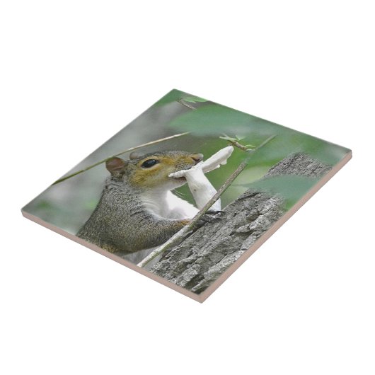 Eichhörnchen mit Mushroom Fliese (Seite)