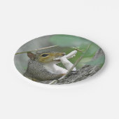 Eichhörnchen mit Mushroom Paper Plate Pappteller (Schrägansicht)