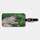 Eichhörnchen mit Nuss-Gepäckanhänger Gepäckanhänger (Vorderseite horizontal)