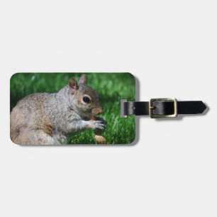 Eichhörnchen mit Nuss-Gepäckanhänger Gepäckanhänger