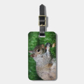 Eichhörnchen mit Nuss-Gepäckanhänger Gepäckanhänger (Vorderseite vertikal)