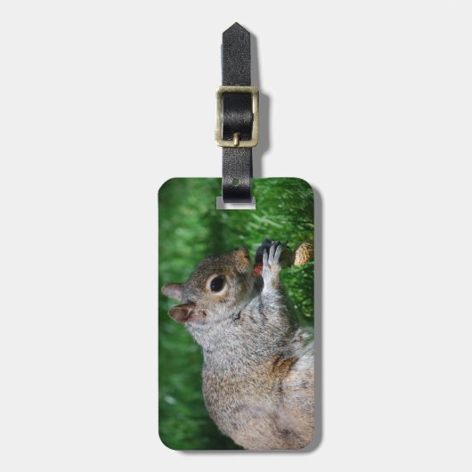 Eichhörnchen mit Nuss-Gepäckanhänger Gepäckanhänger (Vorderseite vertikal)