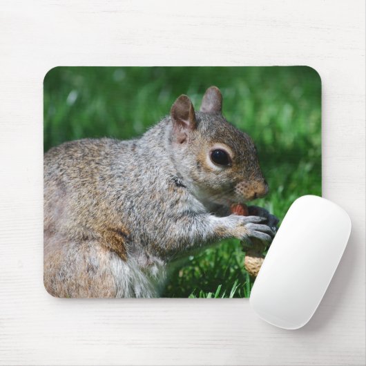 Eichhörnchen mit Nuss-Mausunterlage Mousepad (Mit Mouse)