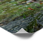 Eichhörnchen mit Nuss Poster (Ecke)