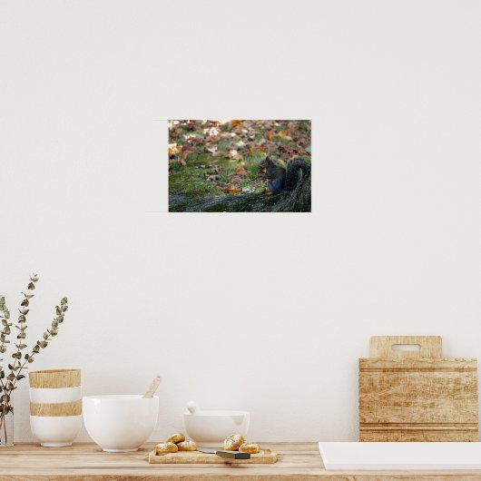 Eichhörnchen mit Nuss Poster (Küche)