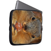 Eichhörnchen mit Nut 2 Laptopschutzhülle (Vorne Rechts)