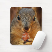 Eichhörnchen mit Nut 2 Mousepad (Mit Mouse)