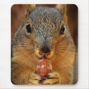 Eichhörnchen mit Nut 2 Mousepad