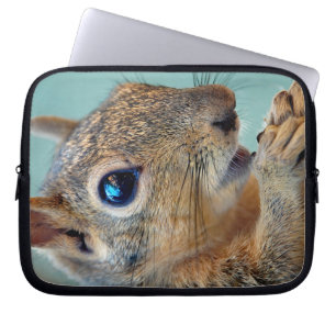 Eichhörnchen mit Nut 2 Nah Laptopschutzhülle