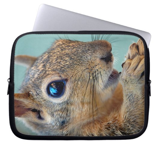 Eichhörnchen mit Nut 2 Nah Laptopschutzhülle (Vorderseite)