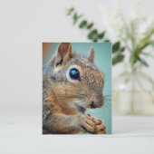 Eichhörnchen mit Nut 2 Nah Postkarte (Stehend Vorderseite)