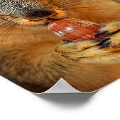 Eichhörnchen mit Nut 2 Poster (Ecke)
