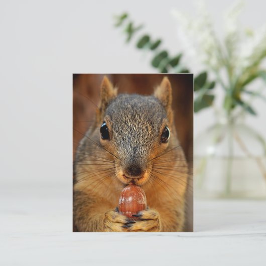 Eichhörnchen mit Nut 2 Postkarte (Stehend Vorderseite)