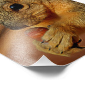 Eichhörnchen mit Nut Fotodruck (Ecke)