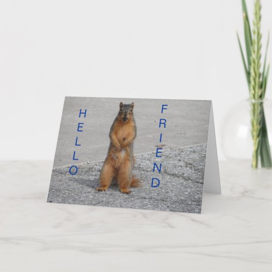 Eichhörnchen mit Nut, Hello Friend Karte (Vorderseite)