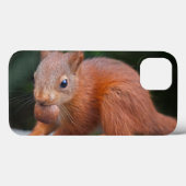 Eichhörnchen mit Nut iPad Case (Rückseite (Horizontal))