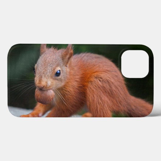 Eichhörnchen mit Nut iPad Mini Case (Rückseite (Horizontal))