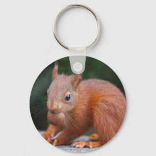 Eichhörnchen mit Nut Keyring Schlüsselanhänger