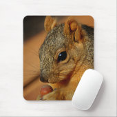 Eichhörnchen mit Nut Mousepad (Mit Mouse)