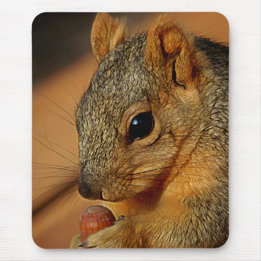 Eichhörnchen mit Nut Mousepad (Vorne)