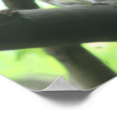 Eichhörnchen mit Nut Nature Foto Malerei Poster (Ecke)