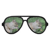 Eichhörnchen mit Nut Partybrille (Vorderseite)