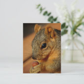 Eichhörnchen mit Nut Postkarte (Stehend Vorderseite)