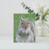 Eichhörnchen mit Nut Postkarte (Stehend Vorderseite)