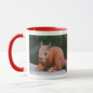 Eichhörnchen mit Nut-Tasse Tasse