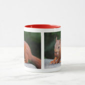 Eichhörnchen mit Nut-Tasse Tasse (Zentrum)