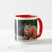 Eichhörnchen mit Nut-Tasse Tasse (VorderseiteRechts)