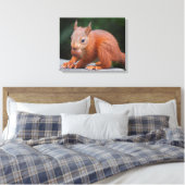 Eichhörnchen mit Nut Wrapped Canvas Print Leinwanddruck (Insitu (Schlafzimmer))