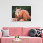 Eichhörnchen mit Nut Wrapped Canvas Print Leinwanddruck (Insitu (Wohnzimmer))